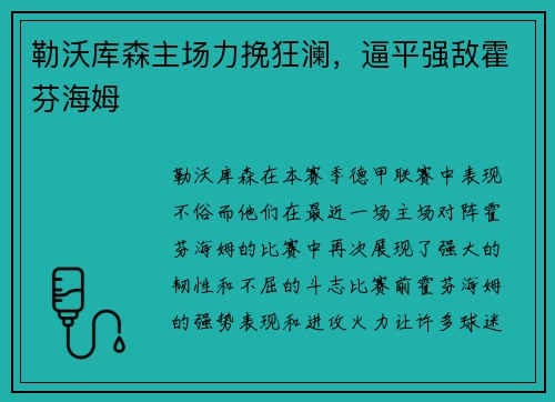 勒沃库森主场力挽狂澜，逼平强敌霍芬海姆